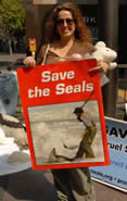 Harp Seal Protest